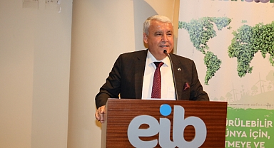 Zeytincilik sektörü ihracatta 1 milyar dolara koşuyor