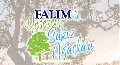 Falım’la Yeşeren Sakız Ağaçları projesi 