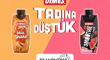  DİMES 