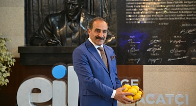 Narenciye sektörü yeşillenme hastalığı ile topyekûn mücadele istiyor