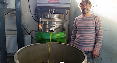 Egeli Zeytinclik'te yoğunluk devam ediyor