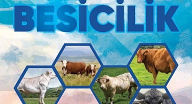 Tahir Yavuz'un Besicilik kitabı piyasada