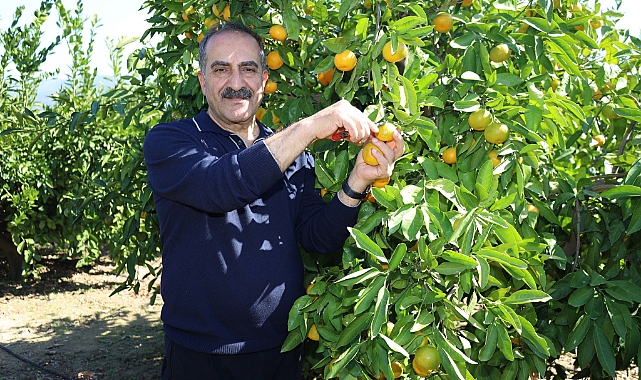 Mandalina ihracatında Ekim bereketi