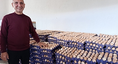 Simav'ın Kuşu beldesinde 16 bin tavukla yumurta üretimi başladı