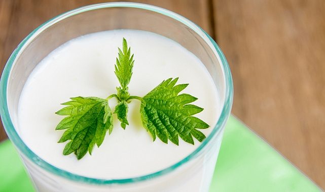 Süt ürünleri, susuzluğu gidermede etkili bir seçenek