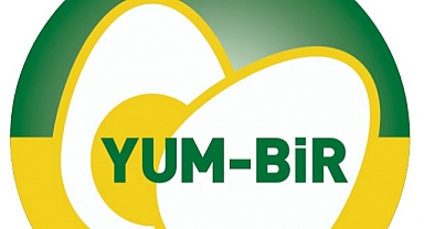 Yumurta üretiminde son 3 yılın rekoru