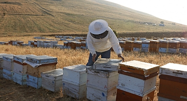 Balparmak, ihracat birinciliğini perçinledi