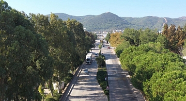 ESBAŞ, çevreci yatırımlarla 2025 yılında 8 bin ağaç kurtardı