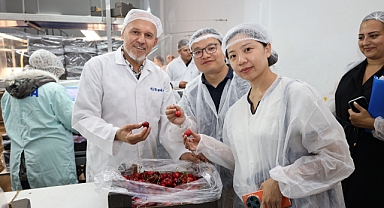 Türk kirazı tek yön Çin biletini almak üzere