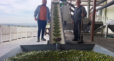 Rayiha Zeytinyağı Fabrikası sezonu açtı