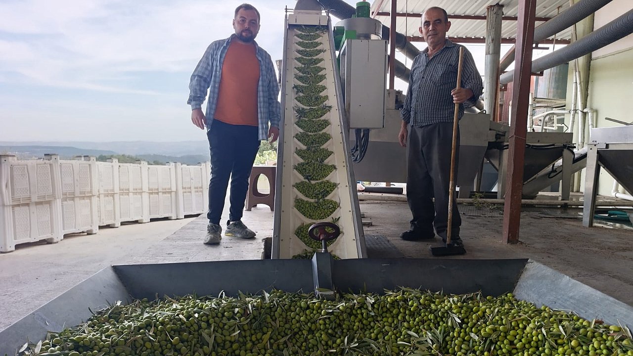 Rayiha Zeytinyağı Fabrikası sezonu açtı
