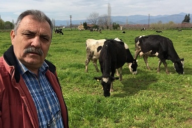 Süte zam değil, yeme prim verilmelidir